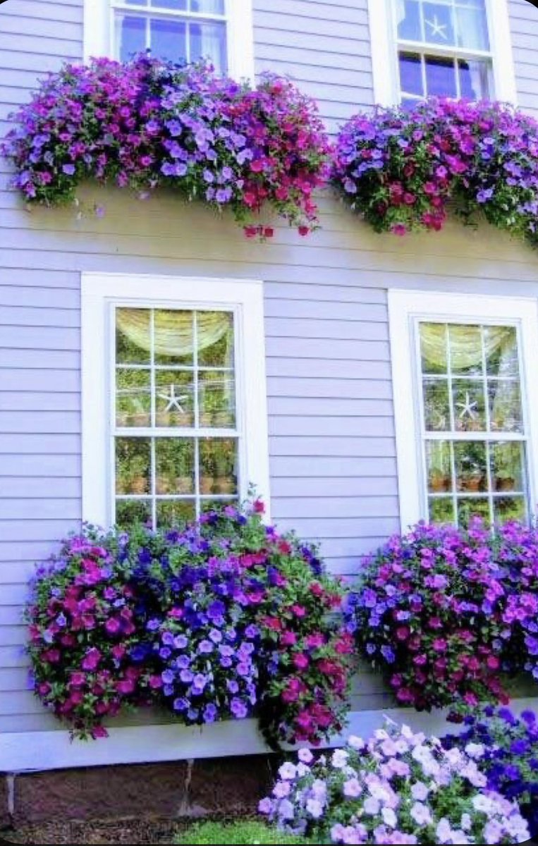 Flowered House
