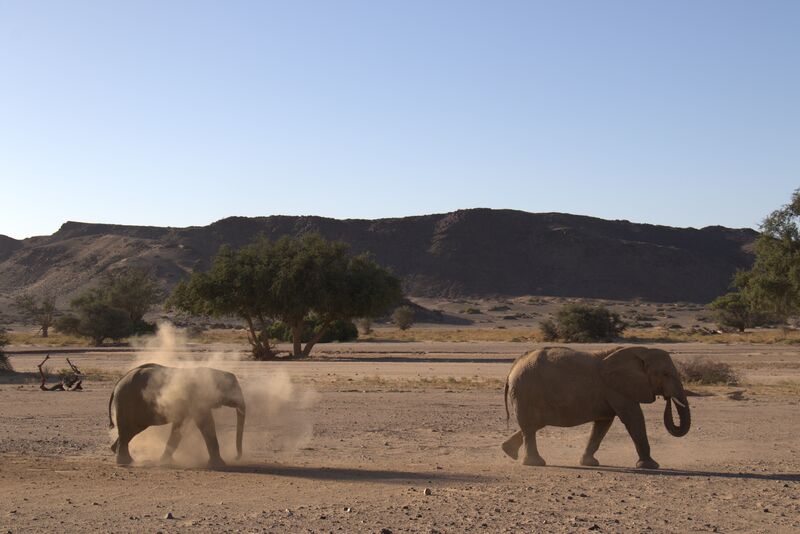 Legacy Landscapes Fund tweet media