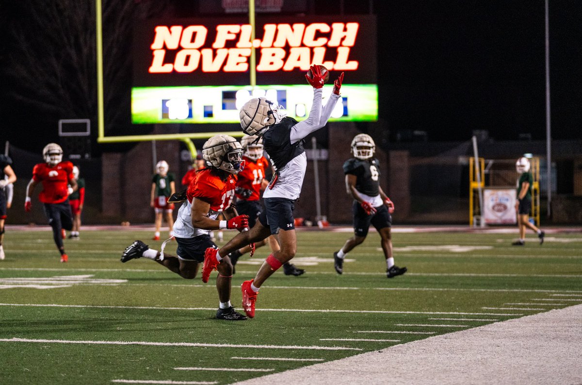 𝘿𝙖𝙮 3️⃣

#skodawgs