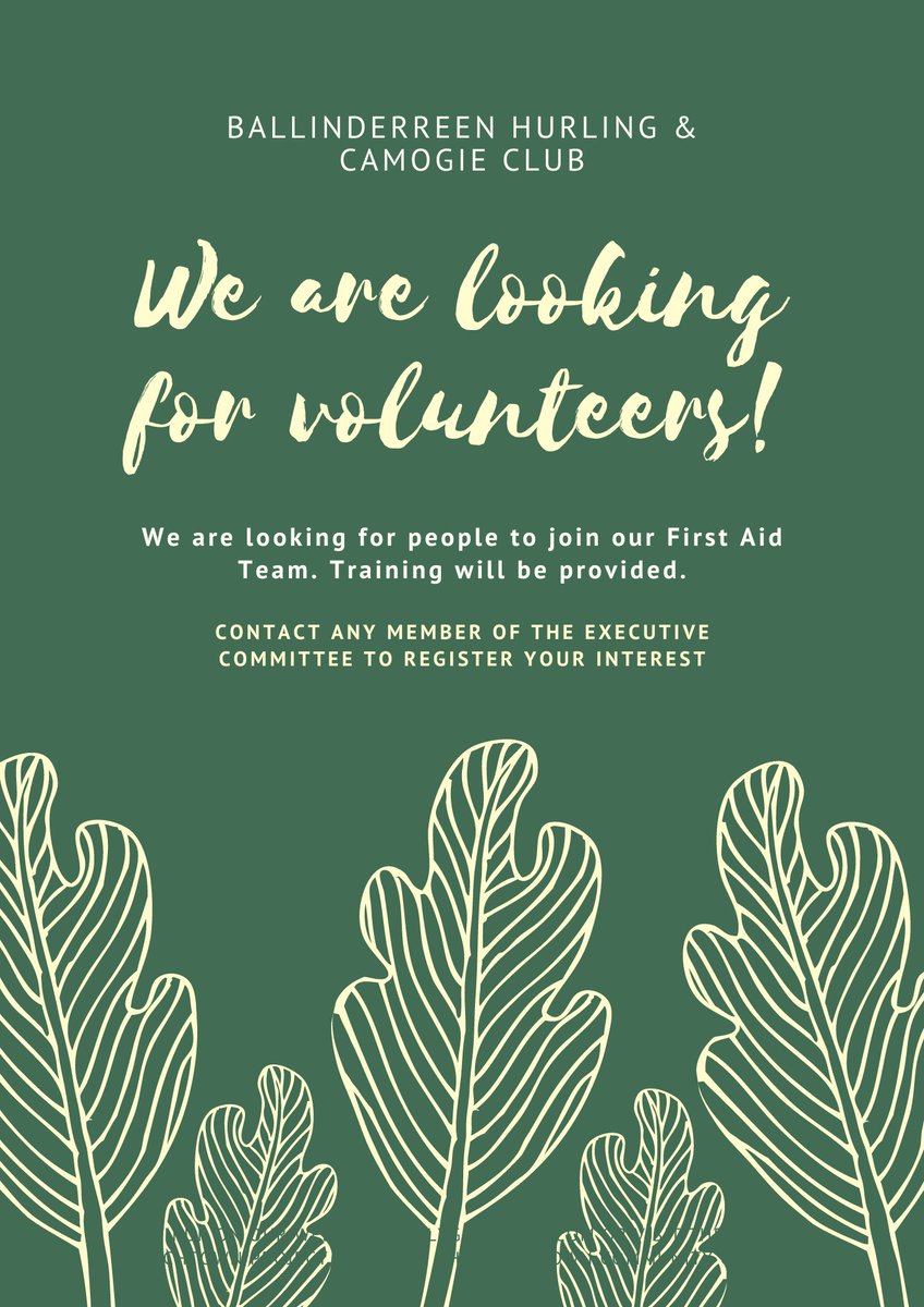 🚑 Join Our First Aid Volunteer Team! 🚑 Ballinderreen Hurling & Camogie is seeking dedicated volunteers to join our First Aid Team. Training will be provided. Contact Mark Lane or any member of the executive committee to register your interest.
