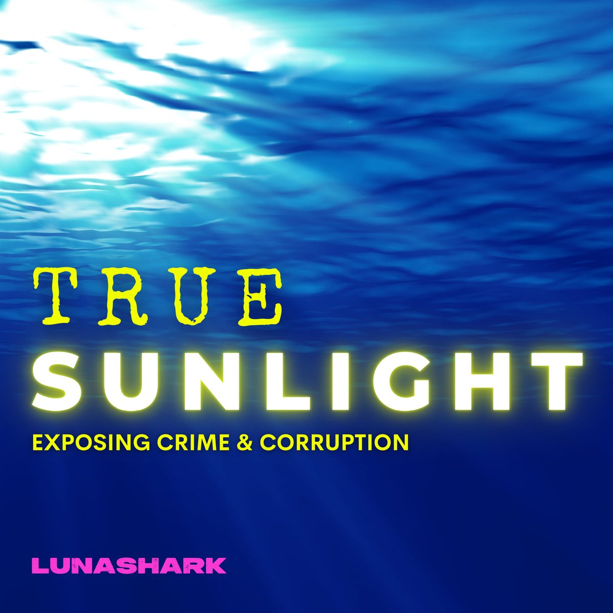 Mandy Matney, a 2012 JMC grad, has illuminated a saga of crime & corruption for millions of listeners on the 'Murdaugh Murders Podcast.' Her journey from unearthing the story at a local newspaper to producing the No. 1 podcast on Apple Podcasts. 🔗rockcha.lk/matney-murdaug…