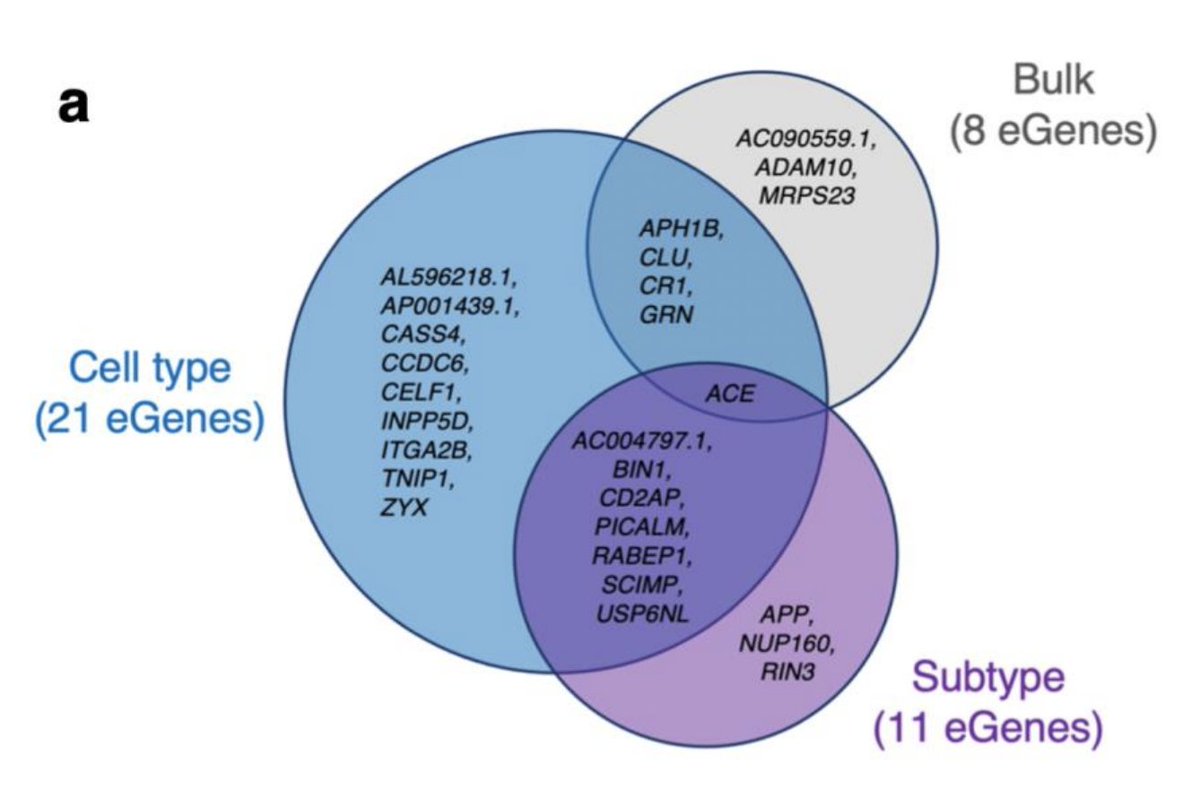 Impressive result from the recent eQTL study of snRNA-seq in brain in Fujita et al [pubmed.ncbi.nlm.nih.gov/38514782/]. Bulk RNA-seq study 2x larger identifies 4x fewer disease colocalizing genes.