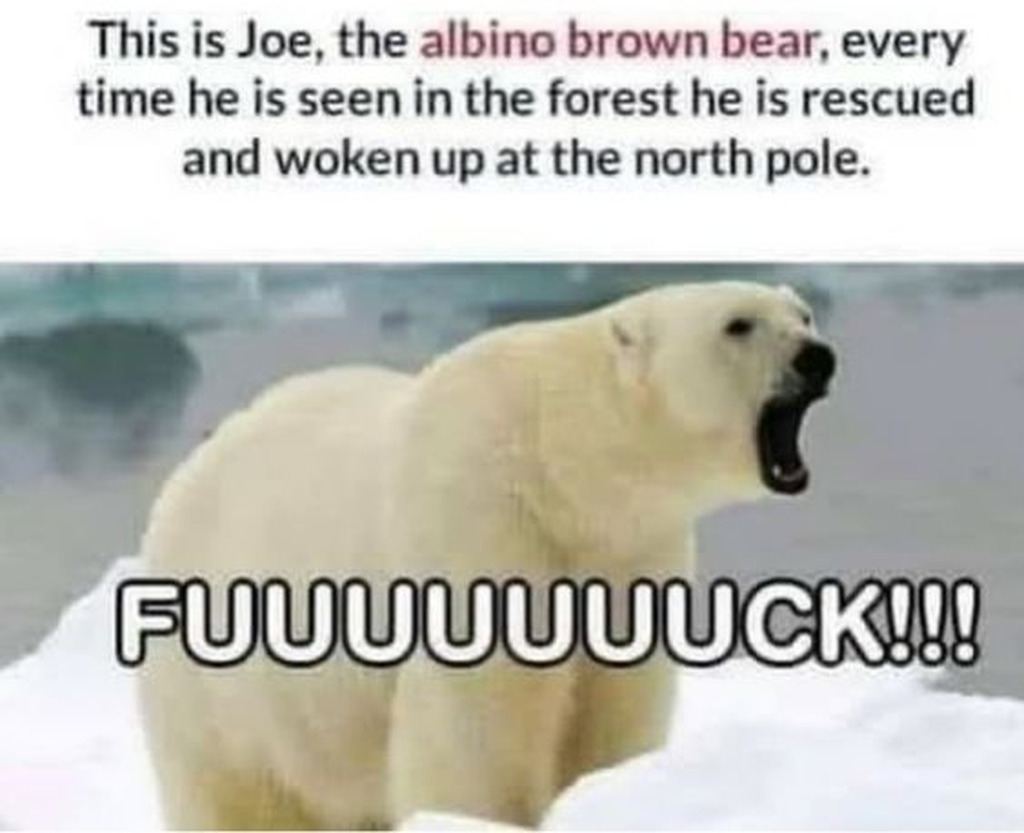 effuties's tweet image. Happy Friday Everyone!