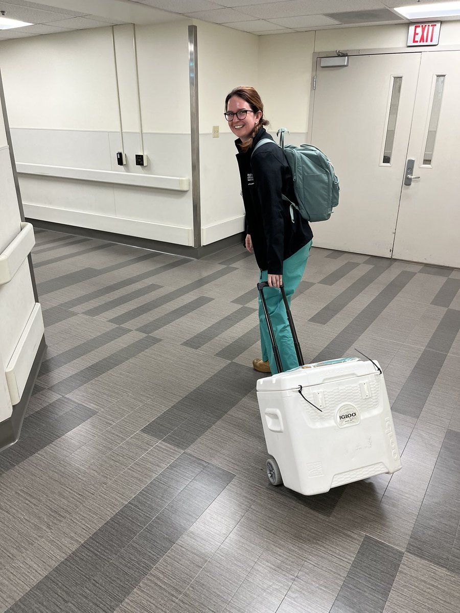 Mary Siki, MD tweet media