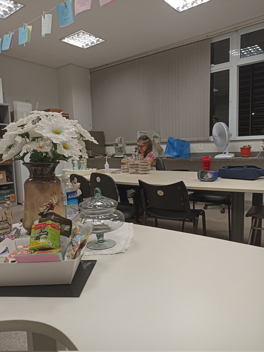 Neste instante, sexta-feira, 19hs, nosso lab na UFU. Minha parceira, Profa Helena Maura Torezan Silingardi, acudindo trabalho de TCC. A aluna teve problemas, a orientadora acode. Exemplo!
