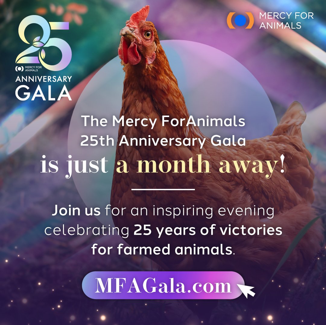 The Mercy For Animals 25th Anniversary Gala is just four weeks away! 😱

We cannot wait to spend the extraordinary evening with you! Join us on Saturday, April 20, at 5:30 p.m. Pacific virtually or in person in Los Angeles! 

bit.ly/25MFAGala #MFAGala