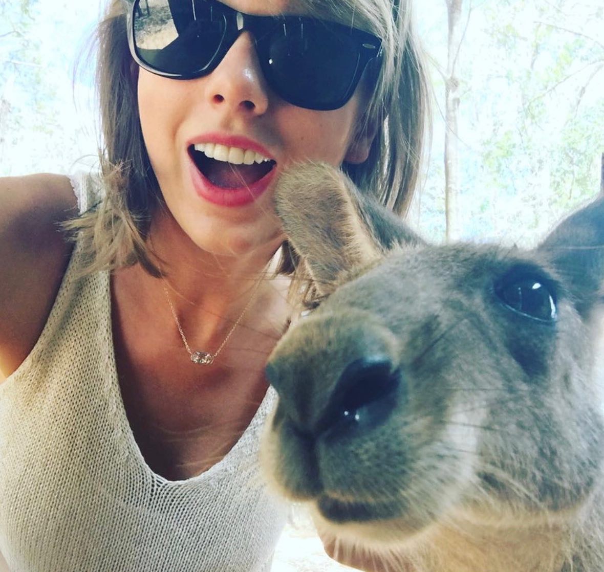 updateswiftbr tweet picture
