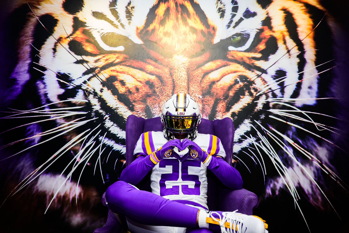 HarlemBerry25's tweet photo. IMMA be at home this weekend 🏡🐯#GeauxTigers #deathvalley https://t.co/wLaeGHB7IQ