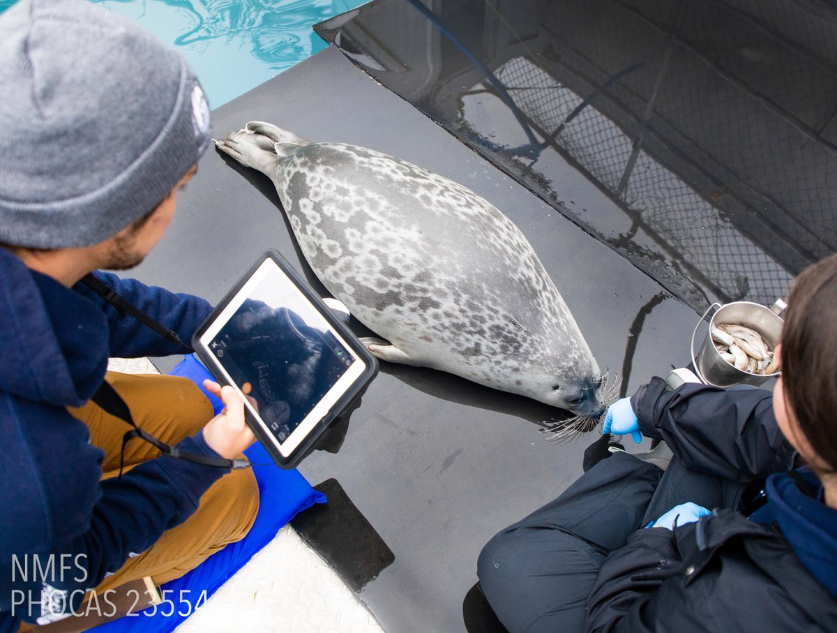 Alaska SeaLife Center tweet media