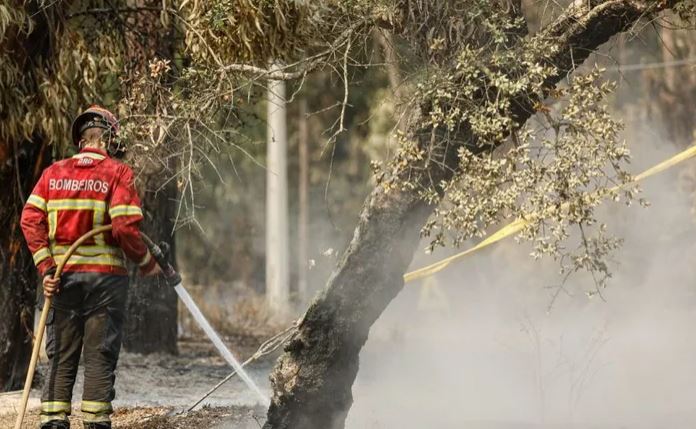 RT @LaurentAlfonso Portugal avoids 60,000 forest fires ow.ly/UggB50QYoru @CRJ_reports @UNDRR_ECA @EU_ECHO @JanezLenarcic @MPopowskiEU @VOSTeurope @editorialcrj @Pajnkihar @IAWF @Pafo44193505 @FEUorg @FirEUrisk @SAFERS_H2020
