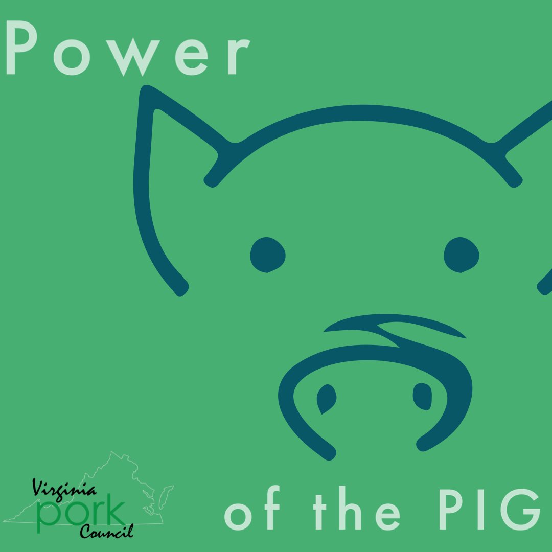 VAPorkCouncil's tweet photo. Hogs are powerful medicine! Did you know that pig skin can be used to help burn victims or to cover other wounds? 

 All told, hogs are a source of nearly 20 drugs and pharmaceuticals.

https://t.co/V4GrFnzNz7 https://t.co/T9tVxsm0xK