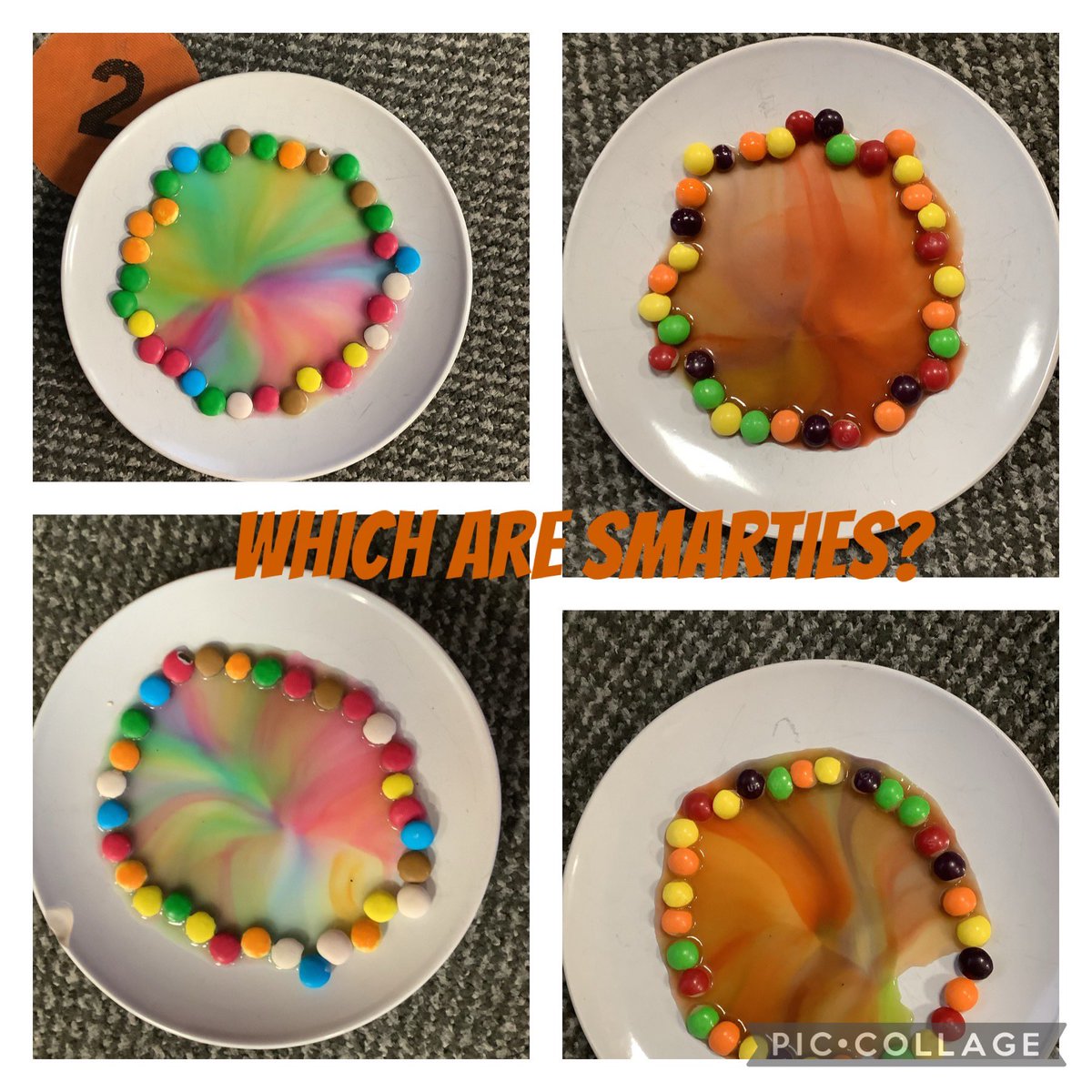 National Science Week was fun across the school 🥰