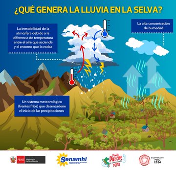 ¿Sabías que el ingreso de friajes y pulsos del sur generan los vientos fuertes en la selva?