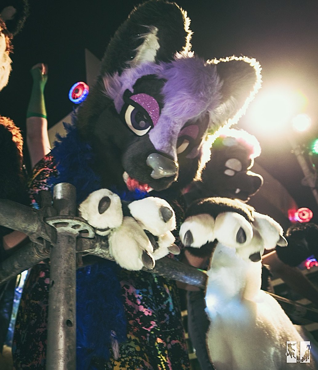 ✨ Mardi Gras Memories ✨🏳️‍🌈 📸 @HuskyPause