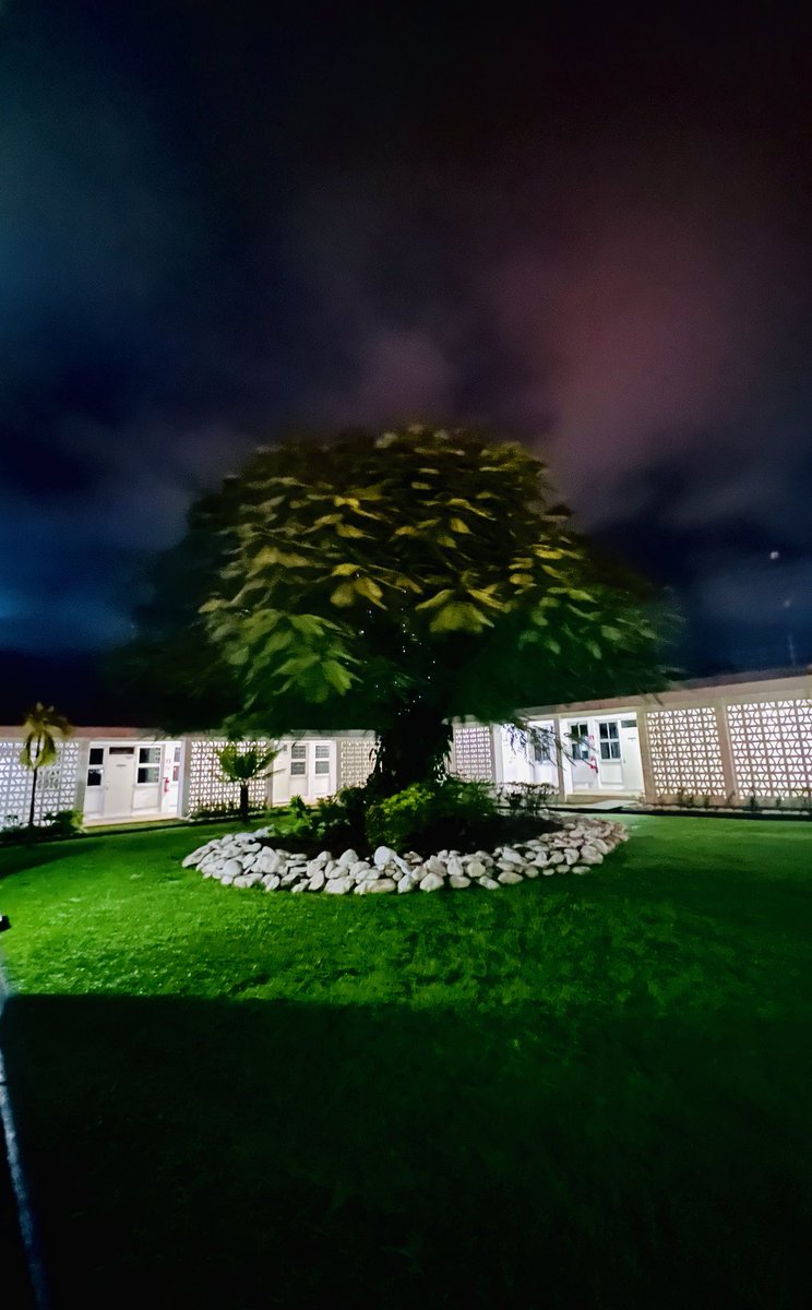 mvilsoni_fj's tweet photo. Took this shot on Thursday night after the downpour β¦ this is our tree of knowledge at Bonunaqwele #FijiAirportsHQ
#LateNightView https://t.co/SzrcRH1Hm4
