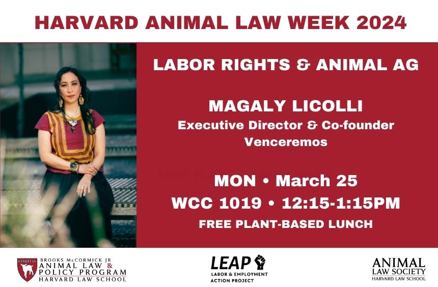 Animal Law @ Harvard (@animallawhls) on Twitter photo Join us in person or via Zoom every lunch time next week for our 10th annual Animal Law Week! We have a great line up of speakers starting with <a href="/MagalyLicolli/">Magaly Licolli</a> talking about labor rights and animal ag on Monday. More here: animal.law.harvard.edu Join us in person or via Zoom every lunch time next week for our 10th annual Animal Law Week! We have a great line up of speakers starting with <a href="/MagalyLicolli/">Magaly Licolli</a> talking about labor rights and animal ag on Monday. More here: animal.law.harvard.edu