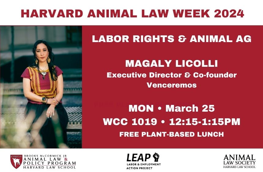 Join us in person or via Zoom every lunch time next week for our 10th annual Animal Law Week! We have a great line up of speakers starting with @MagalyLicolli talking about labor rights and animal ag on Monday. More here: animal.law.harvard.edu