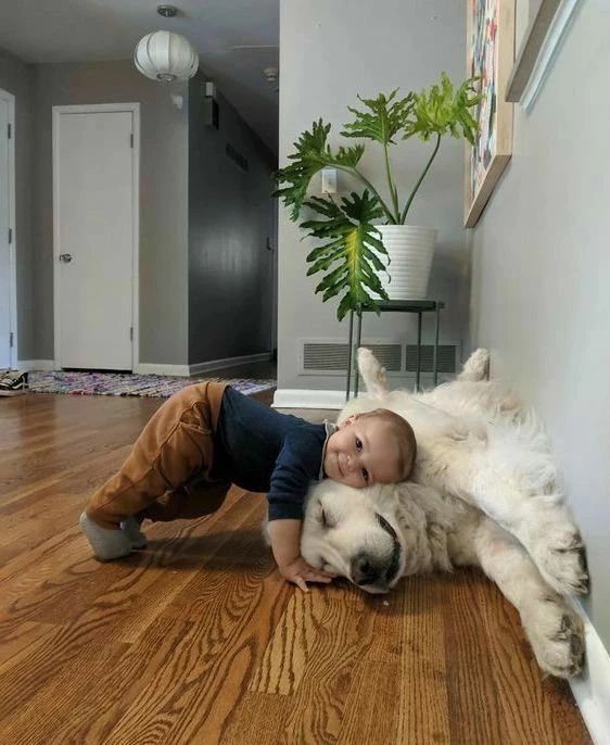 💖 (@twaniimals) on Twitter photo 