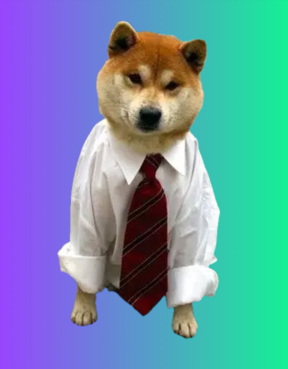 $TIE Taking Over #SOL 

Step Aside $WIF

t.me/dogwiftie