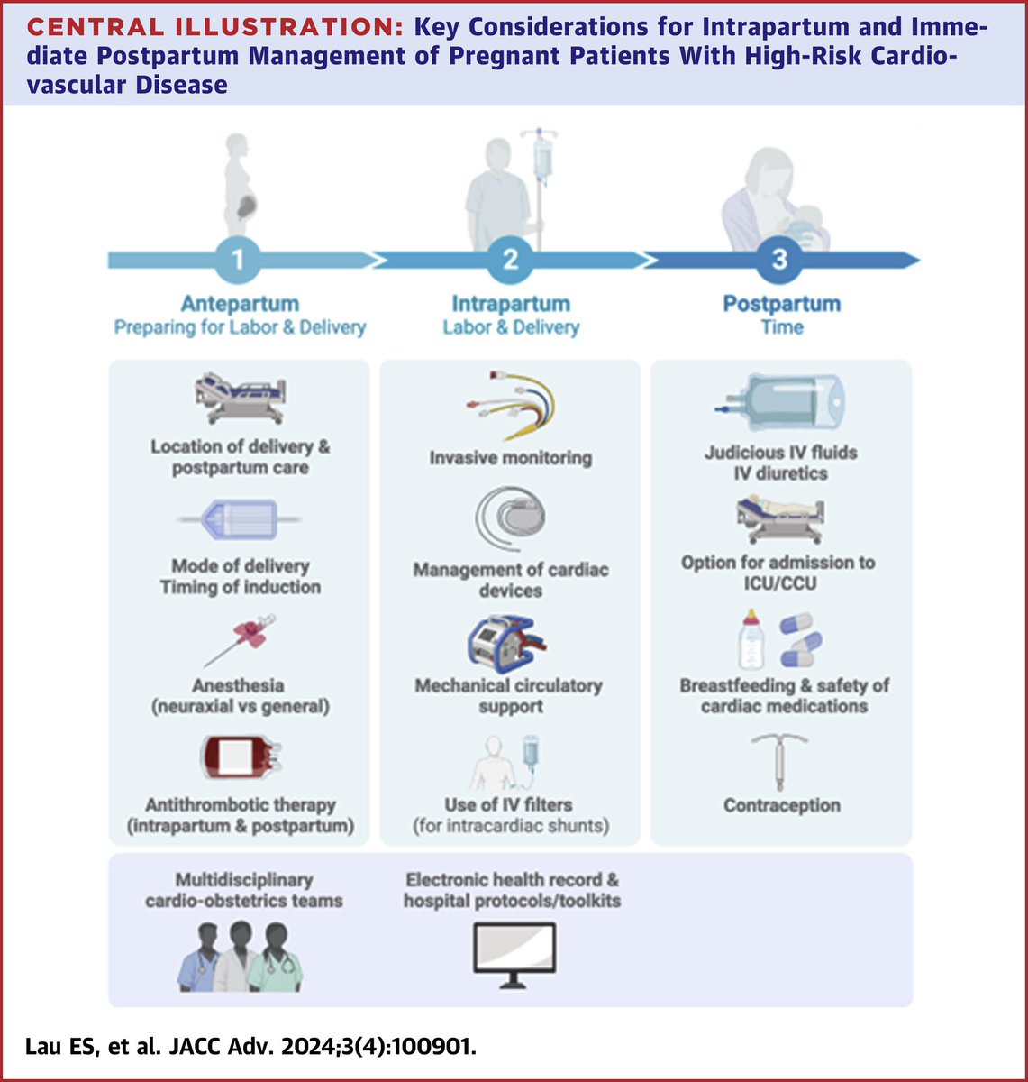 Recommendations for Management of High-Risk Cardiac Delivery: @ACCinTouch CVD in Women Committee Panel #CardioObstetrics @JACCJournals @emilyswlau @NitiCardio @md_harrington @DrKLindley @IsabelleMalhame @drladyheart @OdaymeMD @NanditaScottMD sciencedirect.com/science/articl…