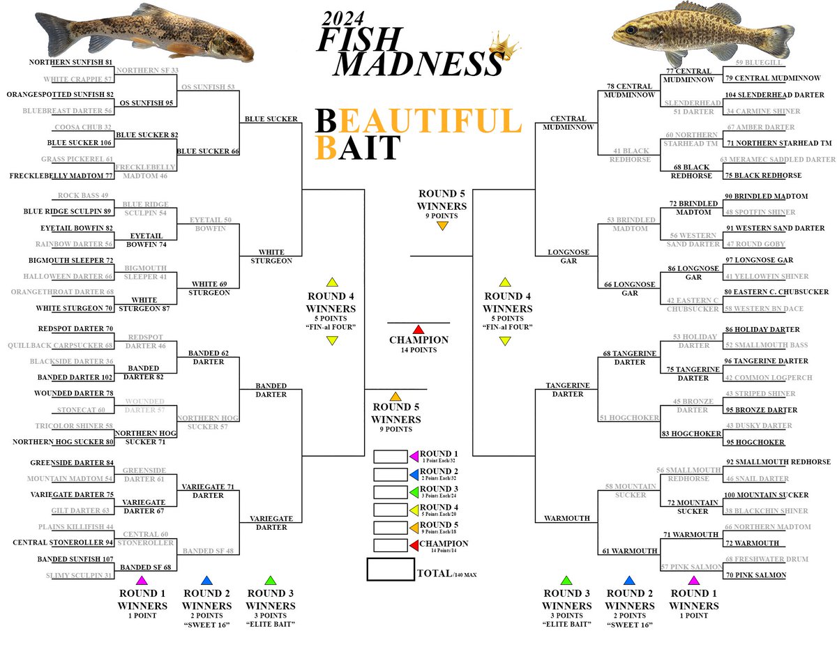 Paul DeRolf tweet media