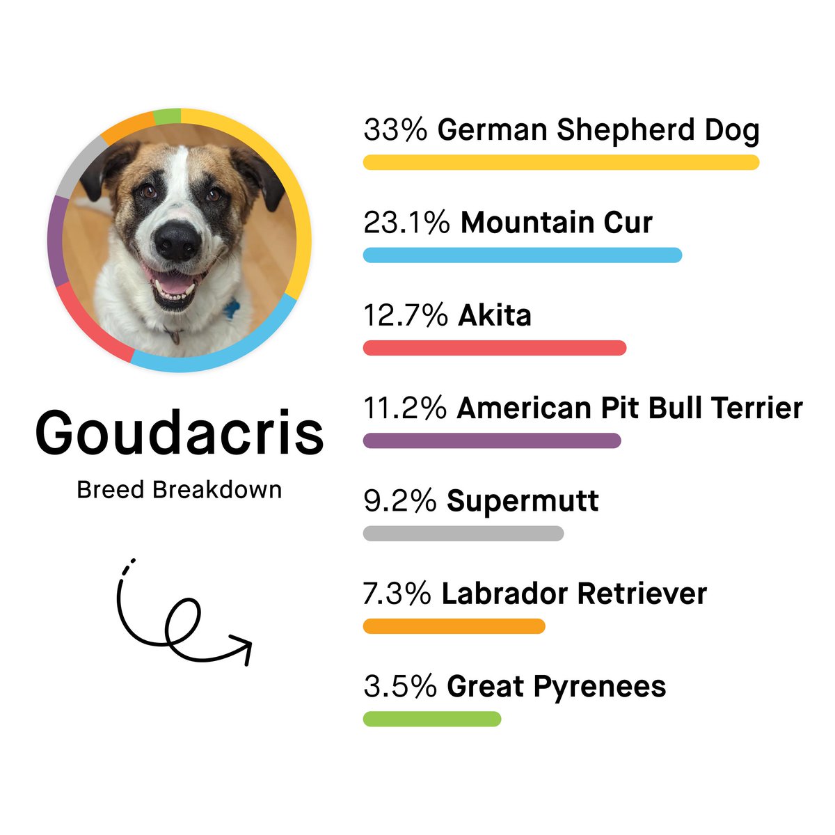Did you see Oakland upset Kentucky? 🏀 Their victory over the No. 3 seed has us thinking about one of OUR favorite underdogs — Goudacris! Learn more about how Goudacris survived a months-long battle with heartworm and found his forever family. bit.ly/496FCnA