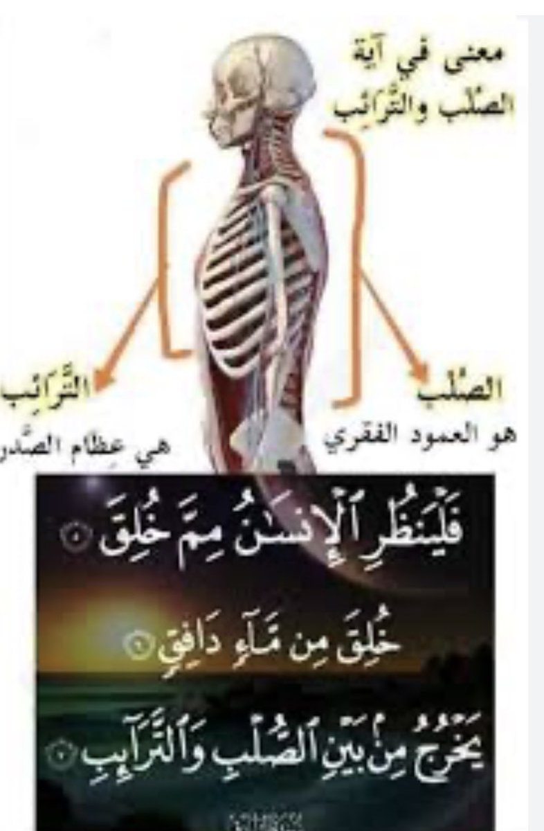 في عمليه عجيبه ومعقده عصبيه وهرمونيه توجد هناك حزمه من الاعصاب الطرفيه في اسفل الفقرات القطنيه والعصعصيه والتي تتحكم بربط السيلات العصبيه من الدماغ بشبكه معقده حول البروستات وتتفاعل مع مؤثرات هرمونيه ويحصل بعدها قذف المني وهذا هو احد اعجاز القران الكريم في الايه الكريمه