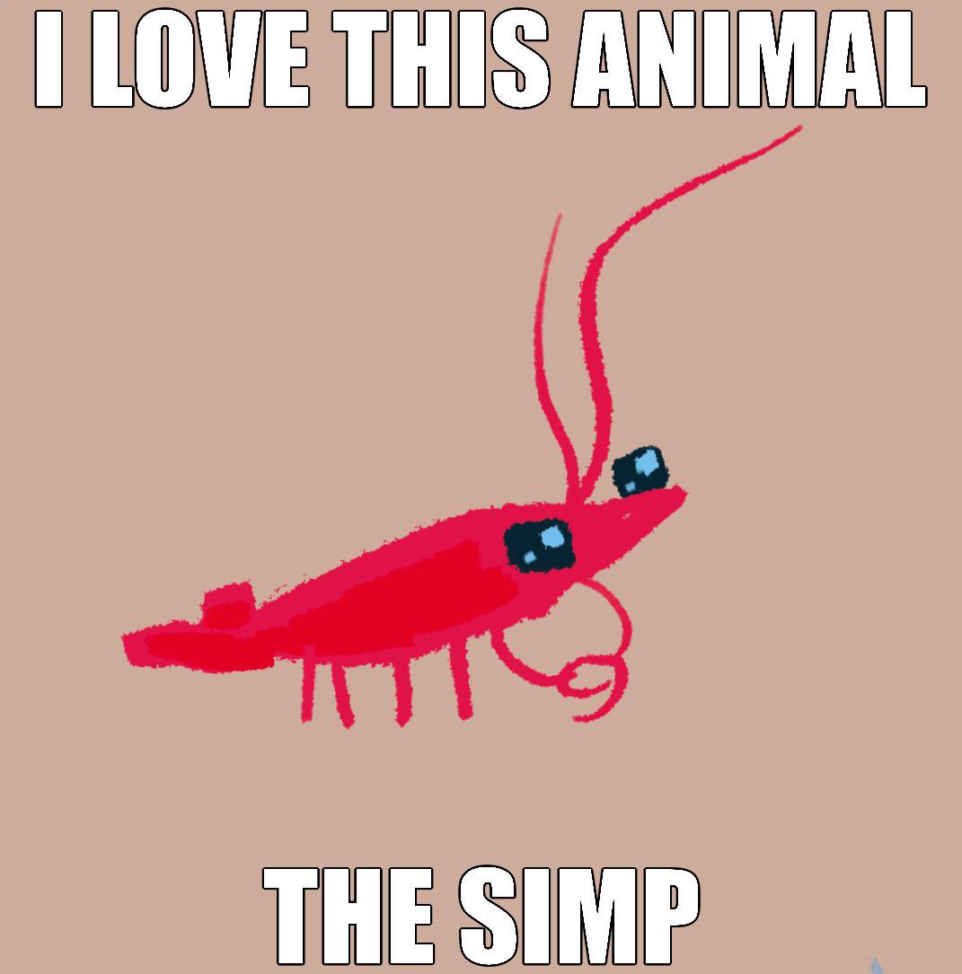 Paradox 🫀🦐 Shrimp stickers TBA (@CorrodedParadox) on Twitter photo 2024-03-22 22:41:42