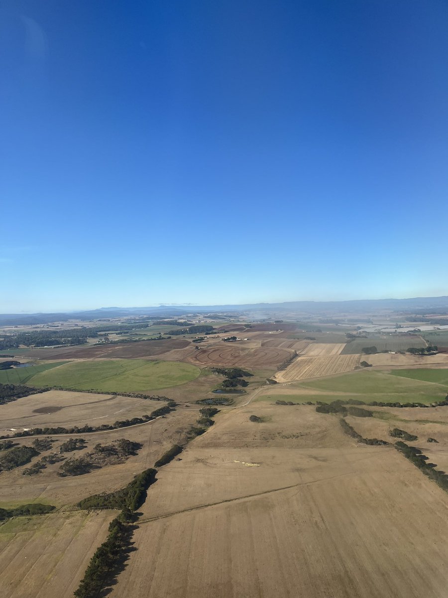 Nothing beats flying into Tassie the morning of the biggest day of 2024 #politas