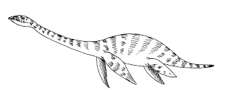 amadfh's tweet photo. A plesiosaur https://t.co/WpVo9h2MGg