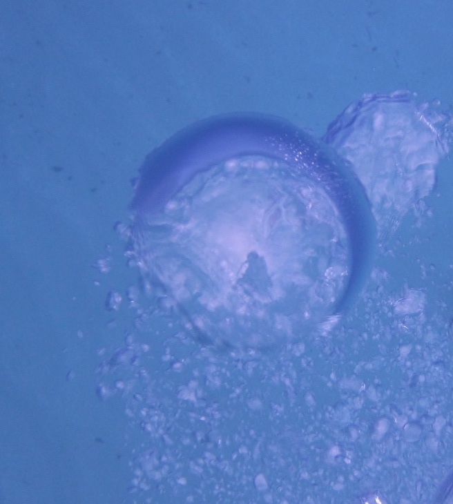 Bliss amongst the bubbles. 💙🤿