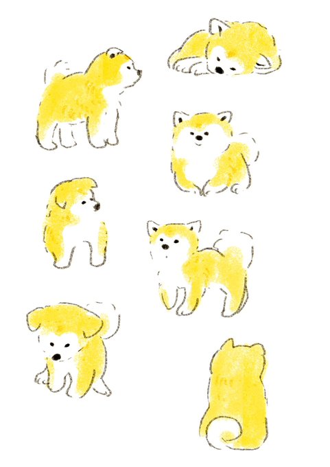 「shiba inu simple background」 illustration images(Latest)｜2pages
