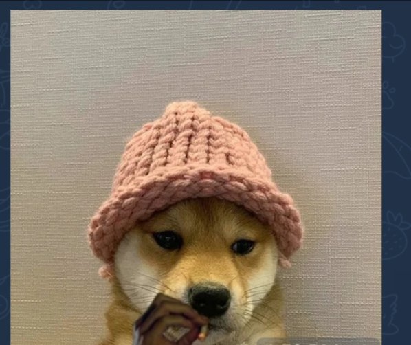 hyperbeam0xx's tweet image. I&apos;m thinking sol will go to 1k+