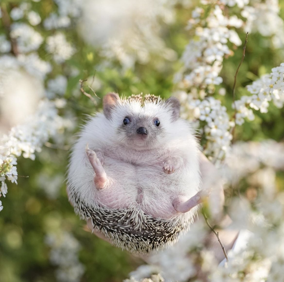 Friday 22nd March, 2024