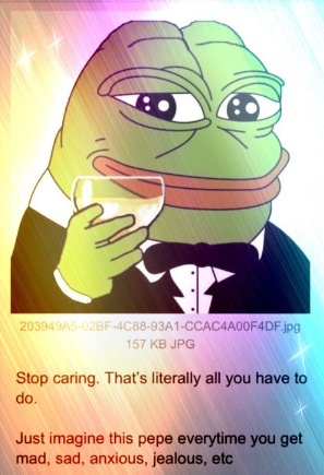 in times like this it's always important to remember..

stop caring.
stay $based.