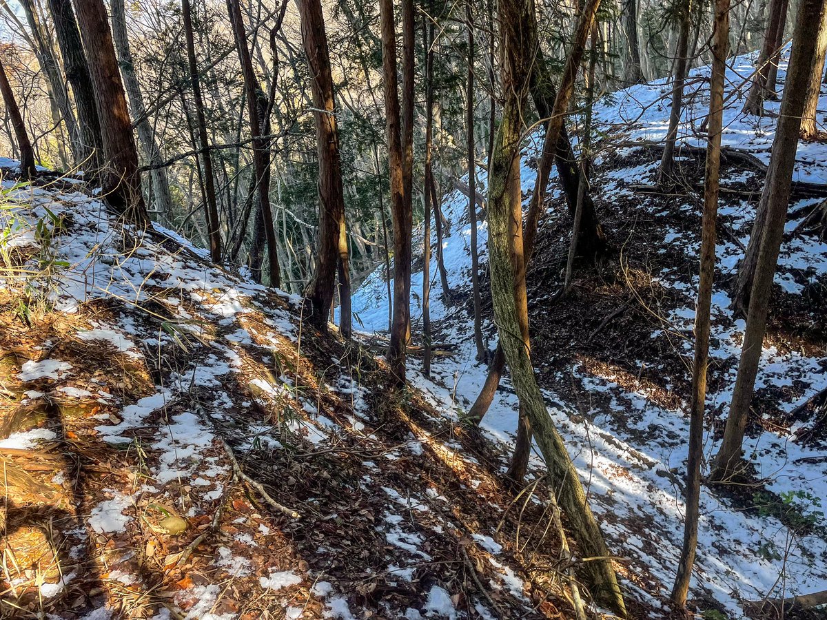 sunnonkai_tw's tweet photo. 寺山館（福島県棚倉町）
案内板に沿って進み15分ほど登ると虎口、さらに5分ほどで主郭に到着。主郭東側の枡形虎口を抜け北東の尾根筋に進むと最大の見所の二重の深く鋭い竪堀に出る。その先に進むにはその竪堀を上り下り。戦国そのままを体感。駐車場は下流集会所。見学時間1時間半。
(2024/2/11) https://t.co/onhojbNxa6
