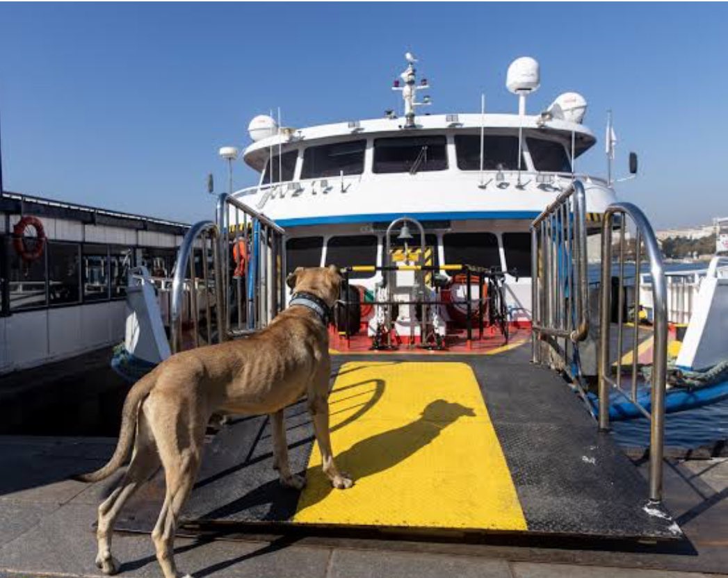 I requested the Philippine Ports Authority GM Jay Santiago today to consider onsite checking of pets at ports by having Veterinarians assist pet owners/travelers to facilitate the voyage of our pets during the Lenten season. He agreed.Thanks.