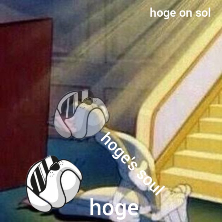 @CoinOct A lot of them are vibing in #Hoge on $Sol

$Hoge is back with soul on sol

Trying to make hoge great again, with transaction fees to suit