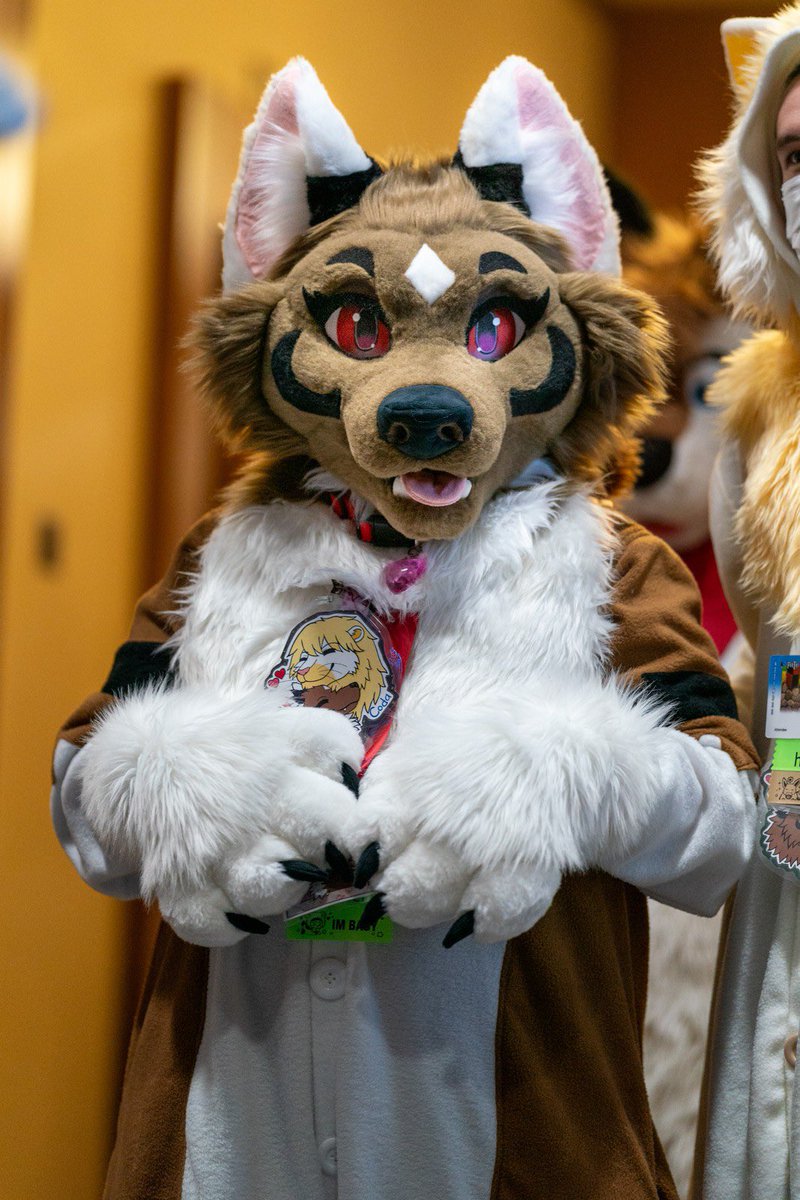 Found this gorgeous picture of Misaki on @furtrack from @FurtheMore, thank you SirDrewTheFree for taking and posting it she looks stunning! 💖😊 #Splinter_fox #Lemonbrat #FursuitFriday #Furthemore2024