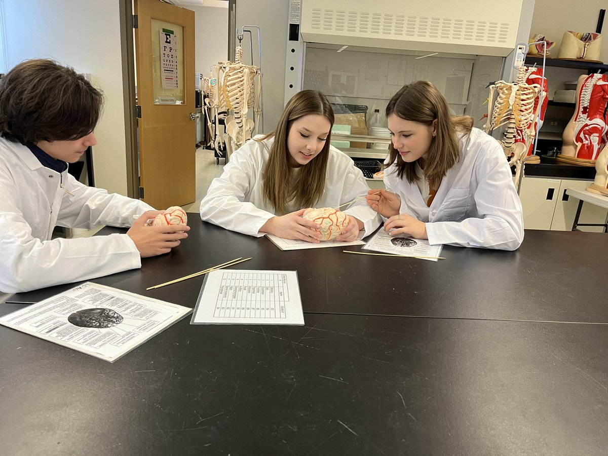 StephNordlee's tweet photo. Sports med 25/35 checks out the health science programs at Lethbridge College. @cchschool https://t.co/XvHZJVPiYi