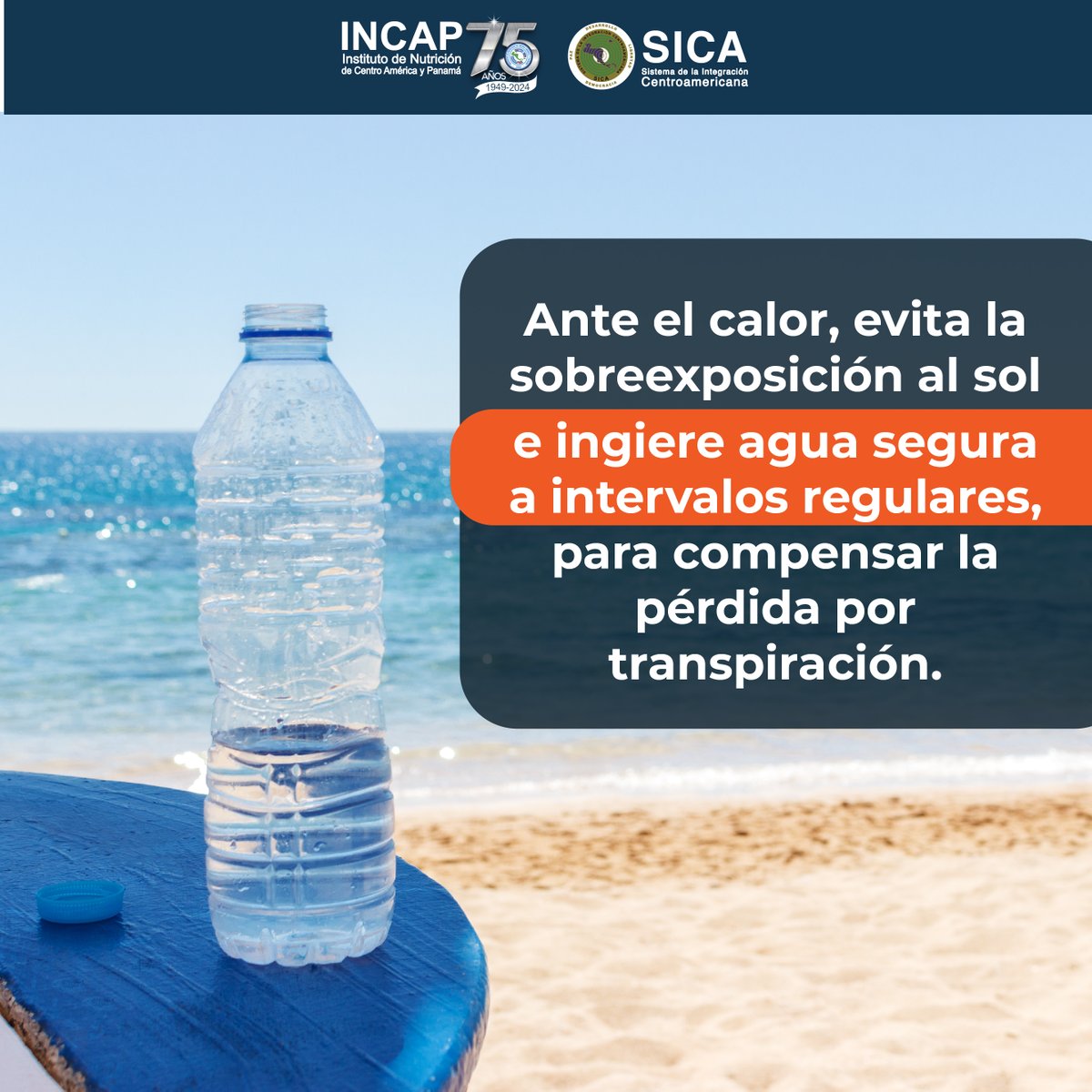 INCAP_NUTRICION's tweet image. ANTE EL CALOR ☀️
Hidrátate para compensar la pérdida por la transpiración. 

@sg_sica @SGSISCA_SICA
#hidratacion #habitosdevidasaludable #verano2024 #Agua