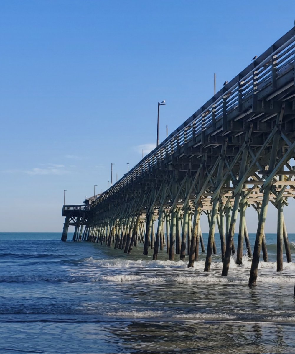 MyrtleFor's tweet image. 