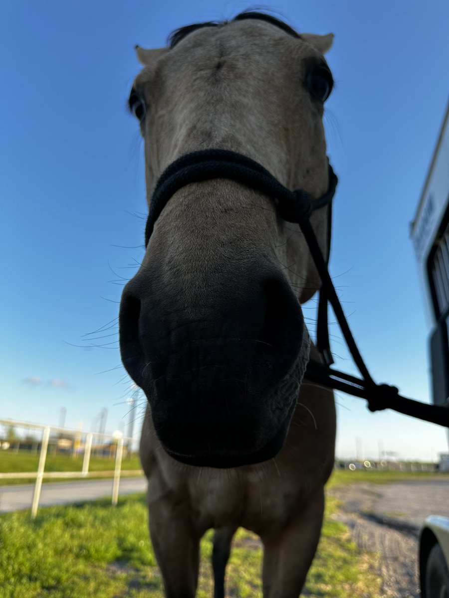 Excuse me, I’d like some peanuts!