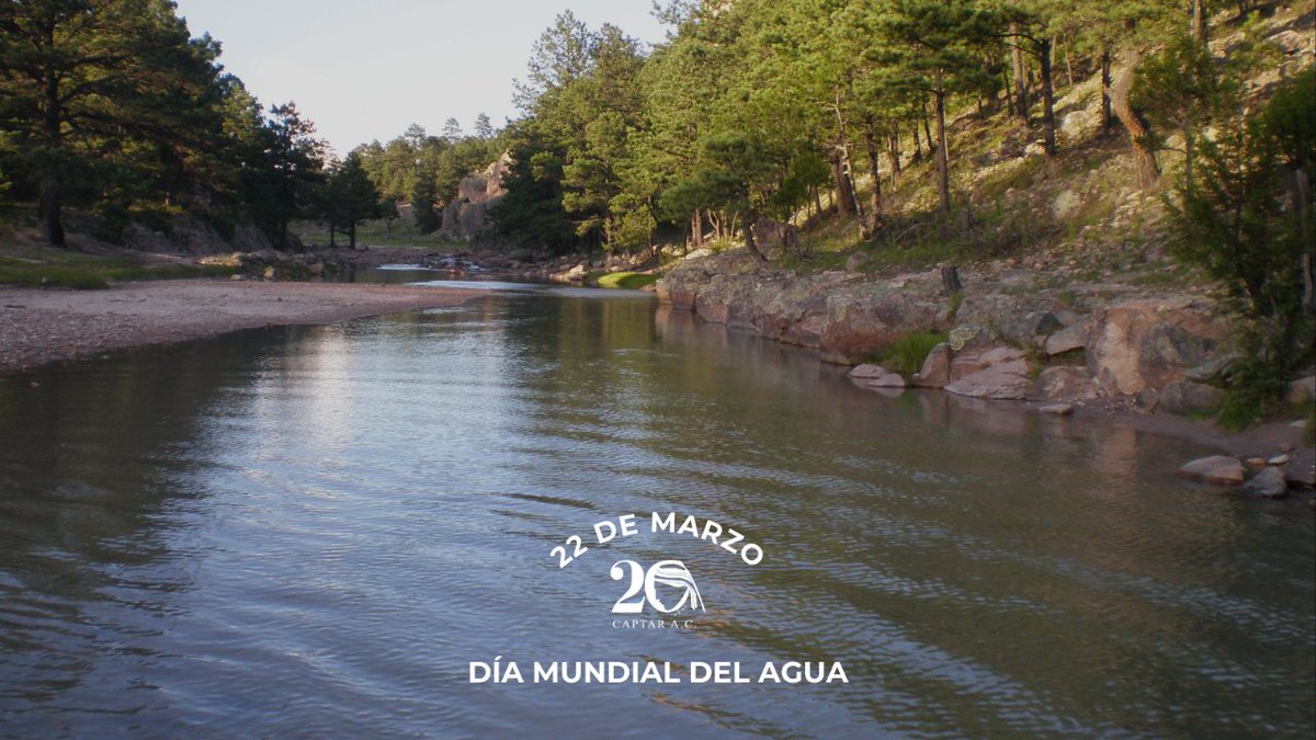 CAPTAR_'s tweet photo. Al trabajar juntos, aseguramos un futuro donde el acceso a agua limpia y segura sea una realidad en la Sierra Tarahumara, y donde los ecosistemas acuáticos florezcan en armonía con el planeta.

#agualimpiaysaneamiento #captarac #diadelagua #cambioclimatico https://t.co/BObgHPEG7b