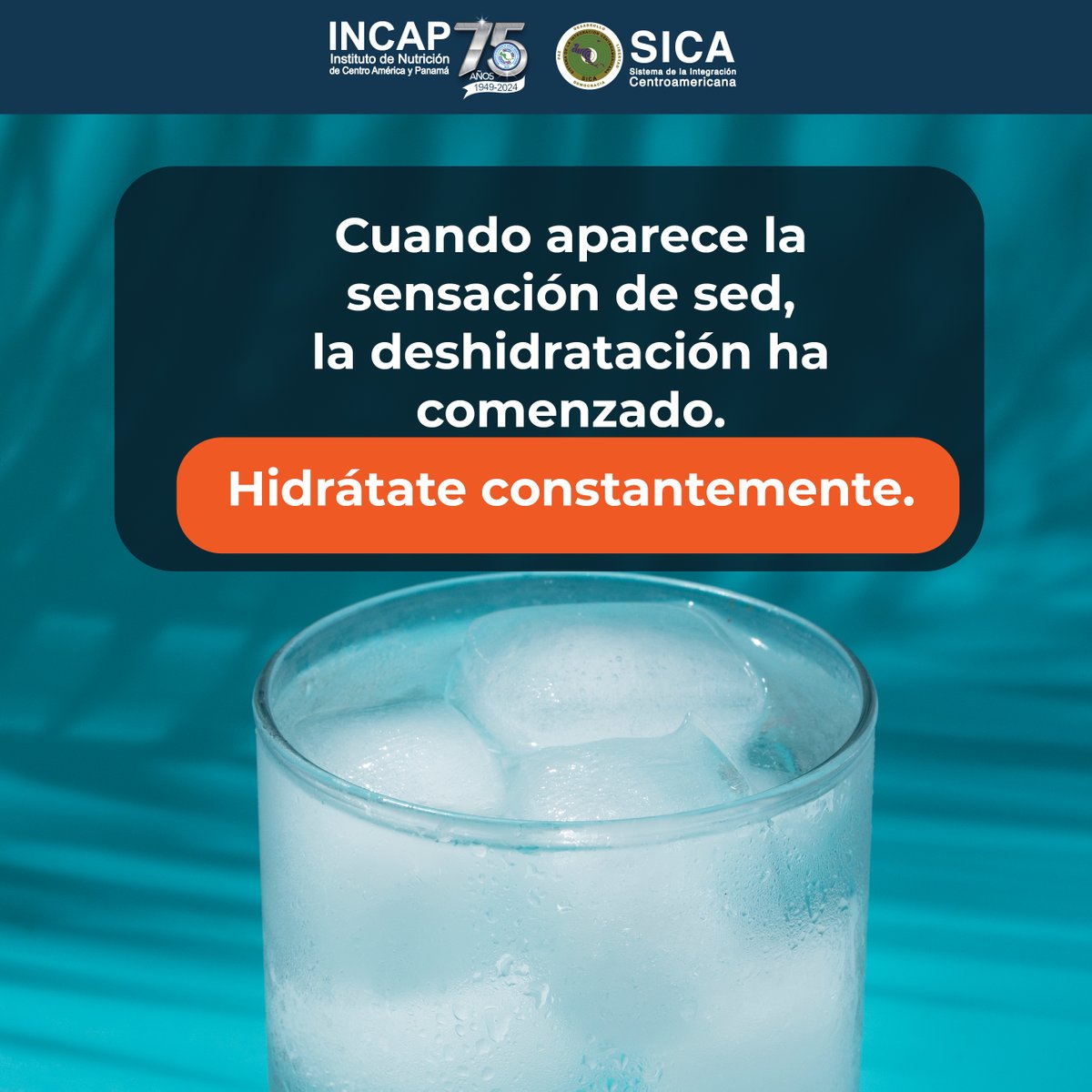 INCAP_NUTRICION's tweet image. ÉPOCA DE CALOR Y ¡SIEMPRE! ☀️💧💦
Asegúrate de cuidar tu hidratación, bebe suficiente agua.
Tu organismo te lo agradecerá😀

#hidratación #agua #habitosdevidasaludable
@sg_sica @SGSISCA_SICA