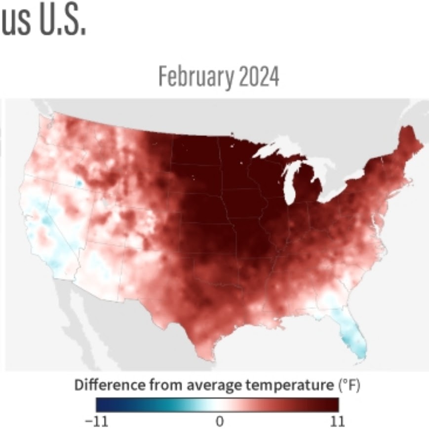 Did everyone see <a href="/NOAAClimate/">NOAA Climate.gov</a>'s recent post? If you thought this was the year without a winter, you'd be right! Described as a "warm sandwich," December and February were some of the warmest months for the Continental US on record 🥵Read more at: climate.gov/news-features/…