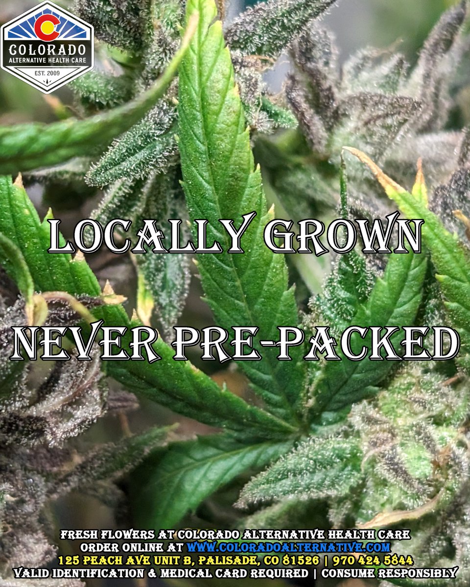 ⚠️Valid CO MMJ Card Required!
Hashtags go here:
#coloradoalternative #freshies #locallygrown #thc #cannabis #mmj #thcinfused #flower #dope #fourtwenty #kush #marijuana #sativa #maryjane #weed #colorado #indica #dispensary #medicalcannabis #pot #grandjunctionco #palisade