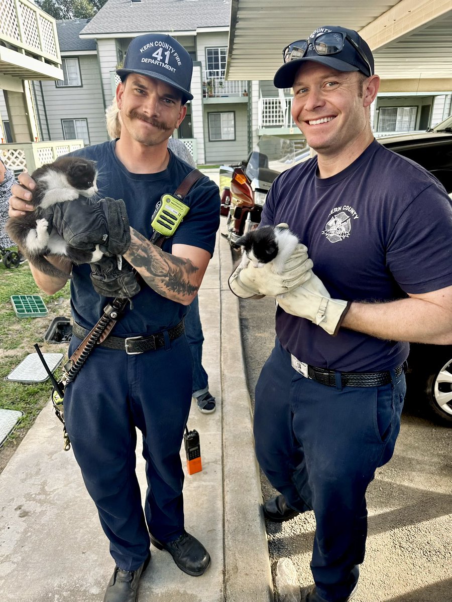 2 Kittens Rescued Press Release: kerncountyfire.org/15893/2-kitten…