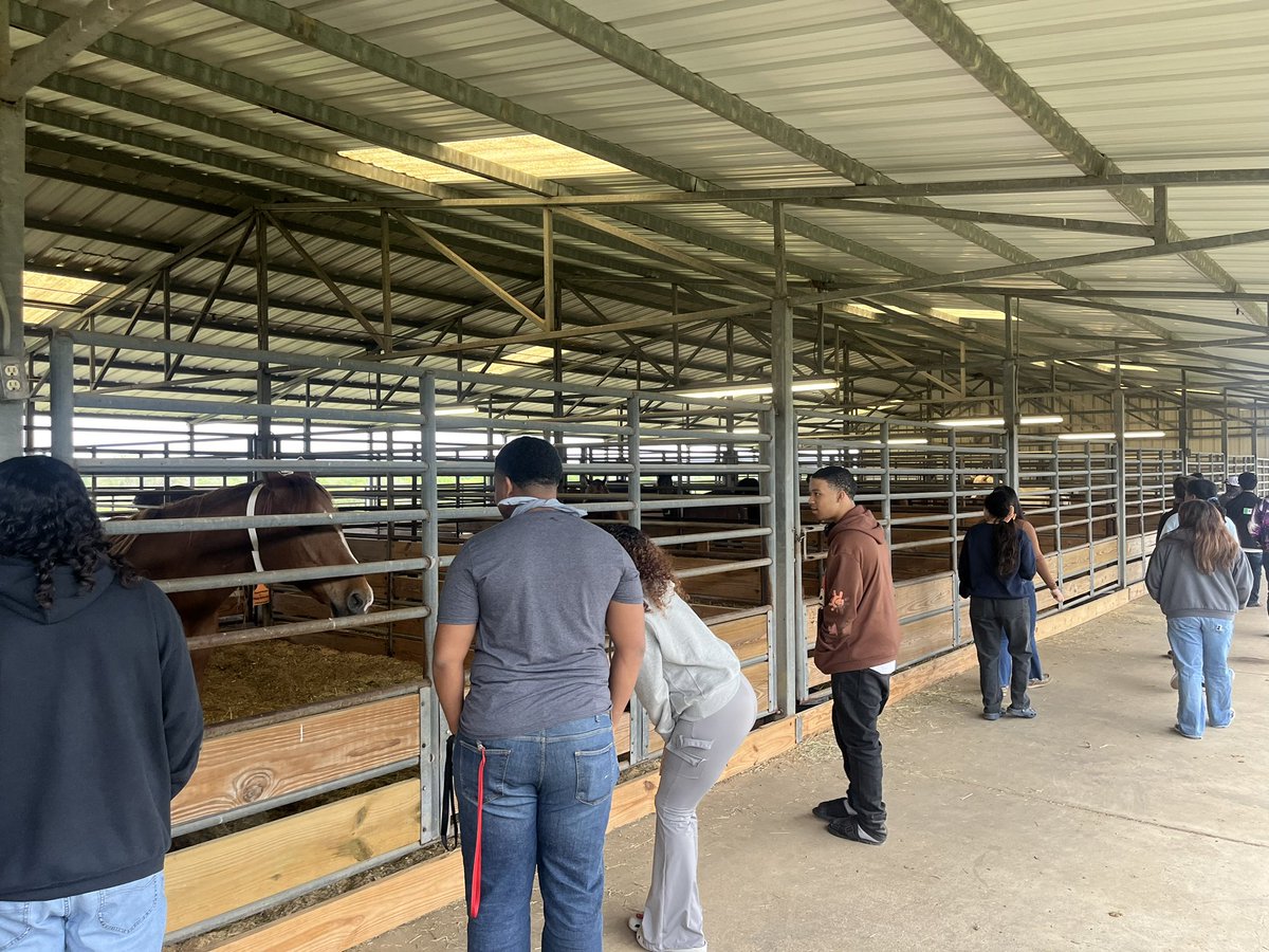 Humble High School FFA tweet media