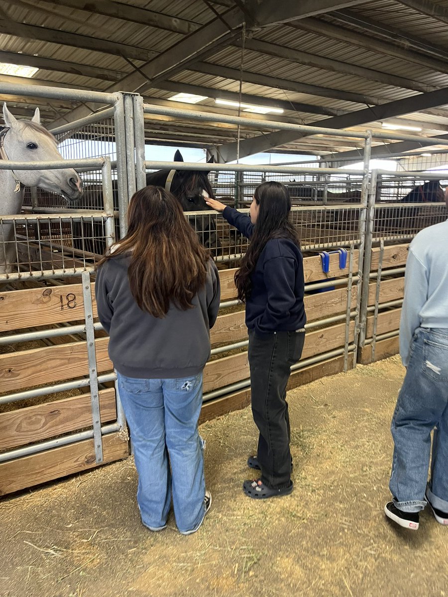 Humble High School FFA tweet media